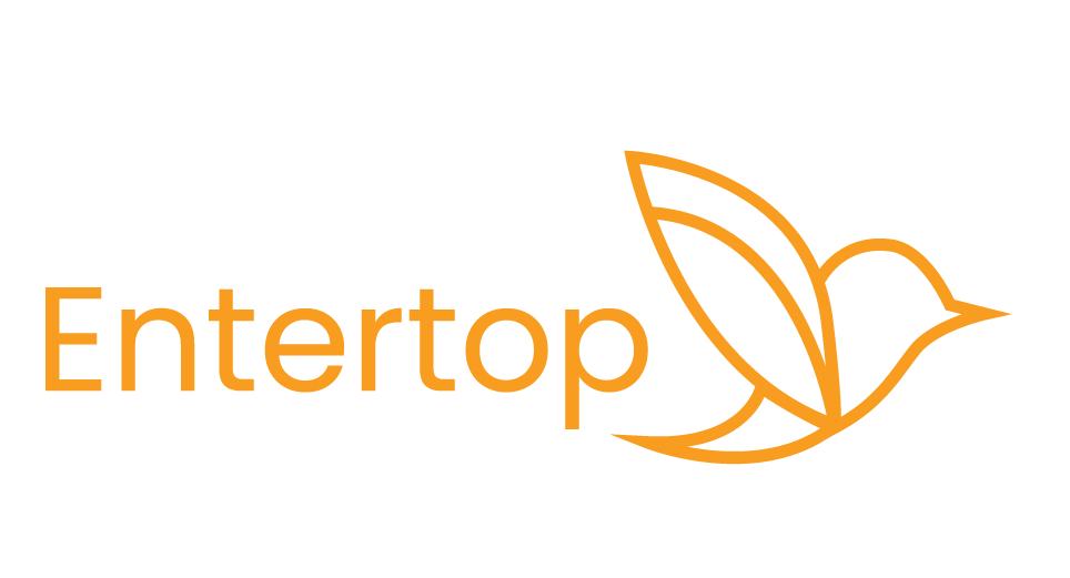 Entertop - Web design and digital solution company in malaysia